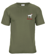 Grunge US Flag T-Shirt - 图片 2