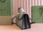 Ophidia medium top handle bag - Image 4