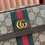 Ophidia mini bag - Image 5